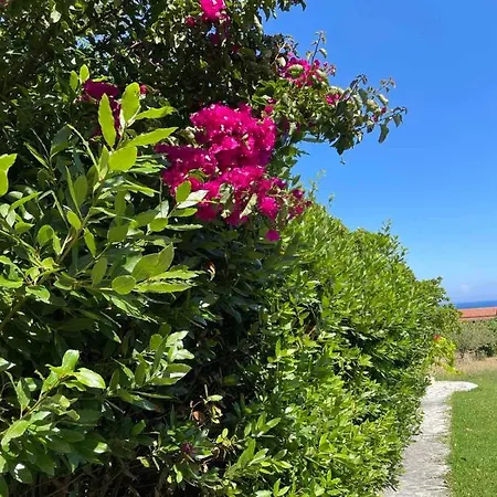 Stefanos Κατελειός